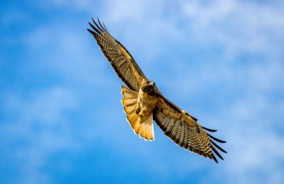 john-bell-mbimyqe1WuE-unsplash